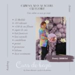 Curs de baza online