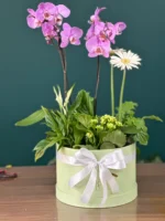 Aranjament cu plante ” Pink Orchid„