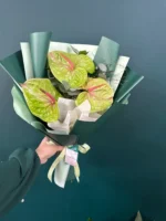 Buchet